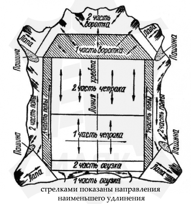 различные топографические участки шкуры и кожи имеют различную степень удлинения в разных направлениях