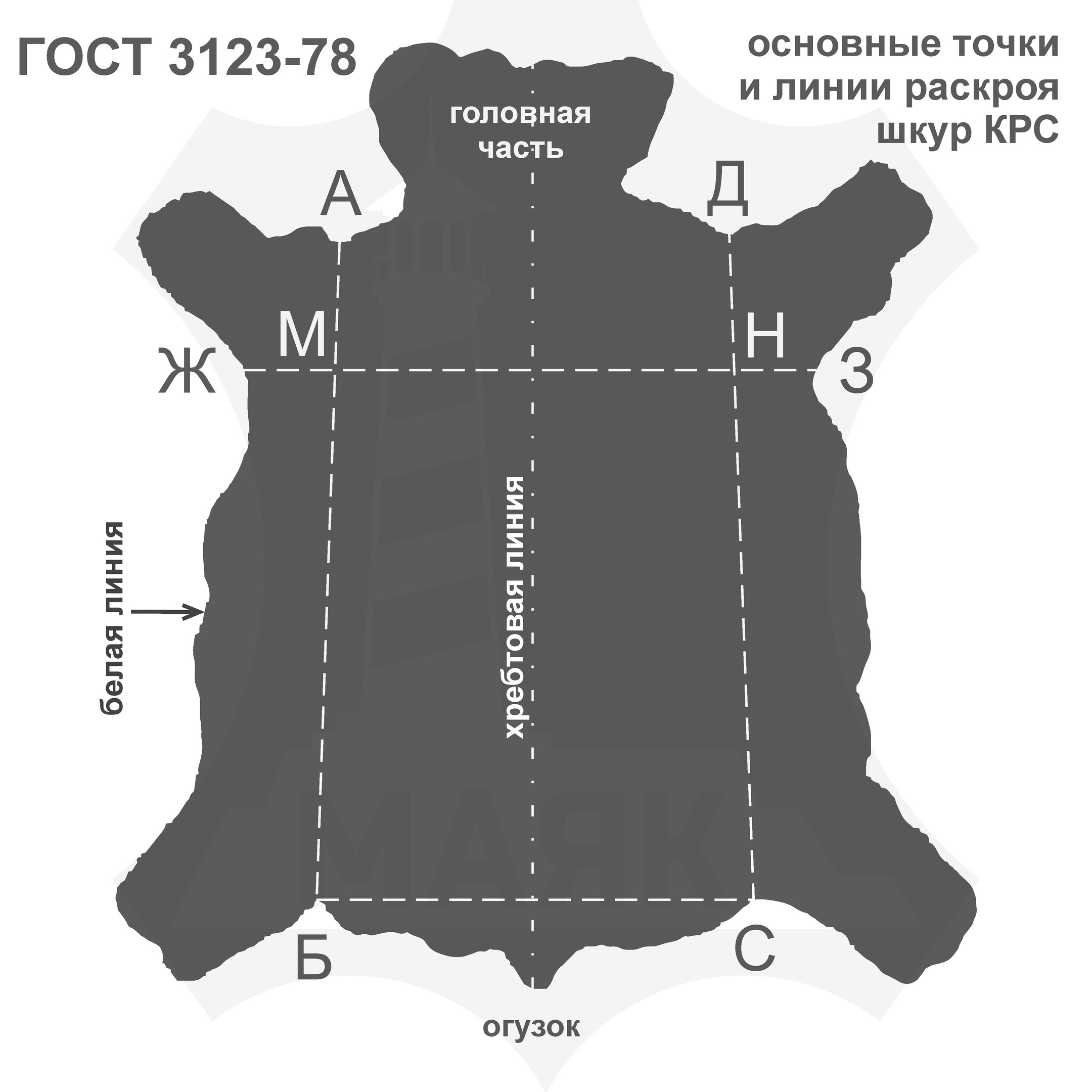 основные точки и линии раскроя шкур КРС согласно ГОСТ 3123-78