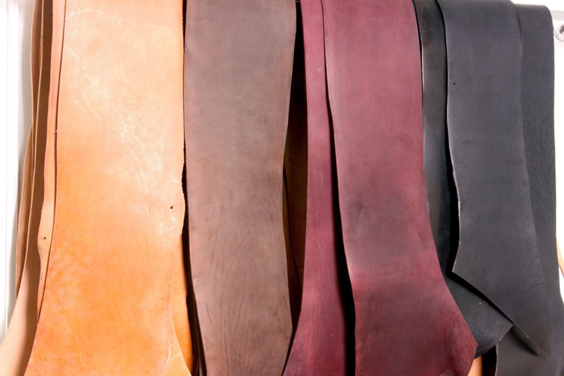 horse strips