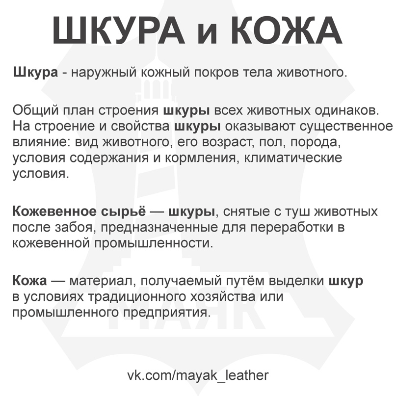 Шкура и Кожа