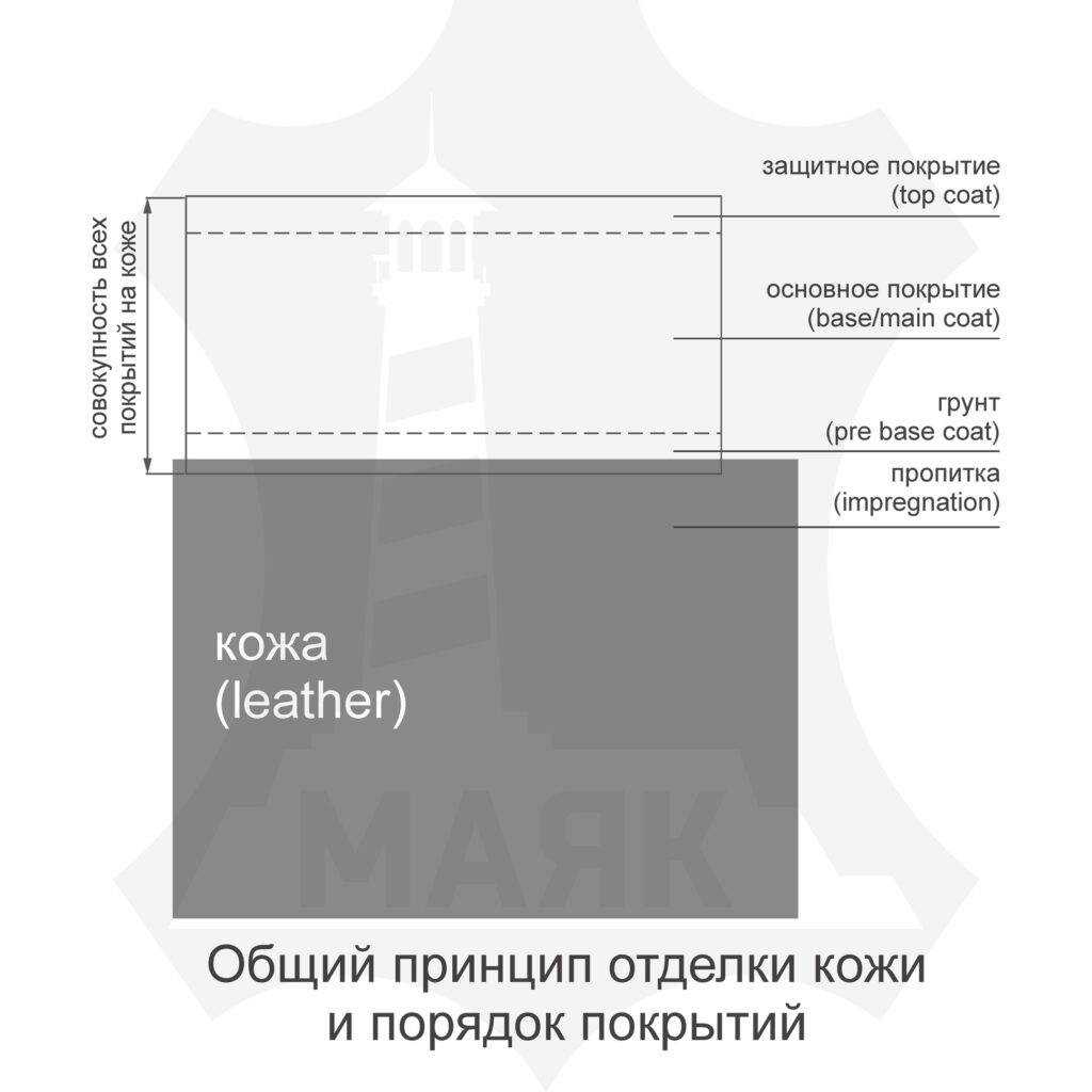 общий принцип отделки кожи и порядок отделочных покрытий